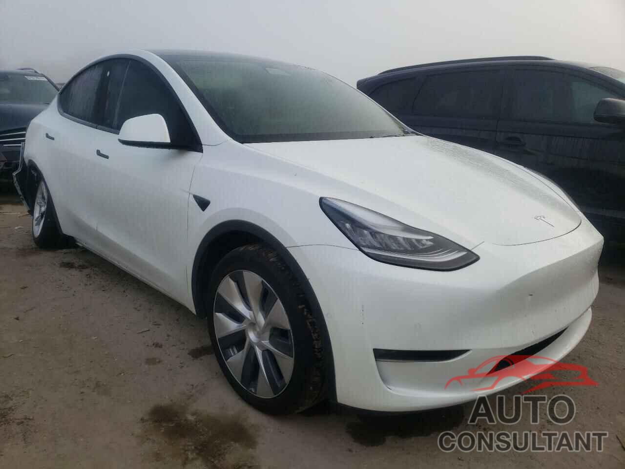 TESLA MODEL Y 2021 - 5YJYGDEE5MF077674