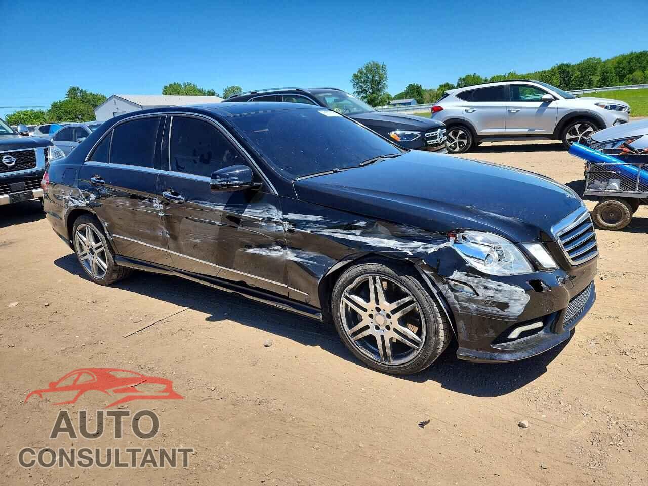 MERCEDES-BENZ E-CLASS 2010 - WDDHF9AB2AA170593