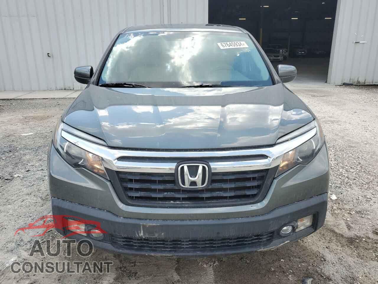 HONDA RIDGELINE 2019 - 5FPYK2F51KB002332