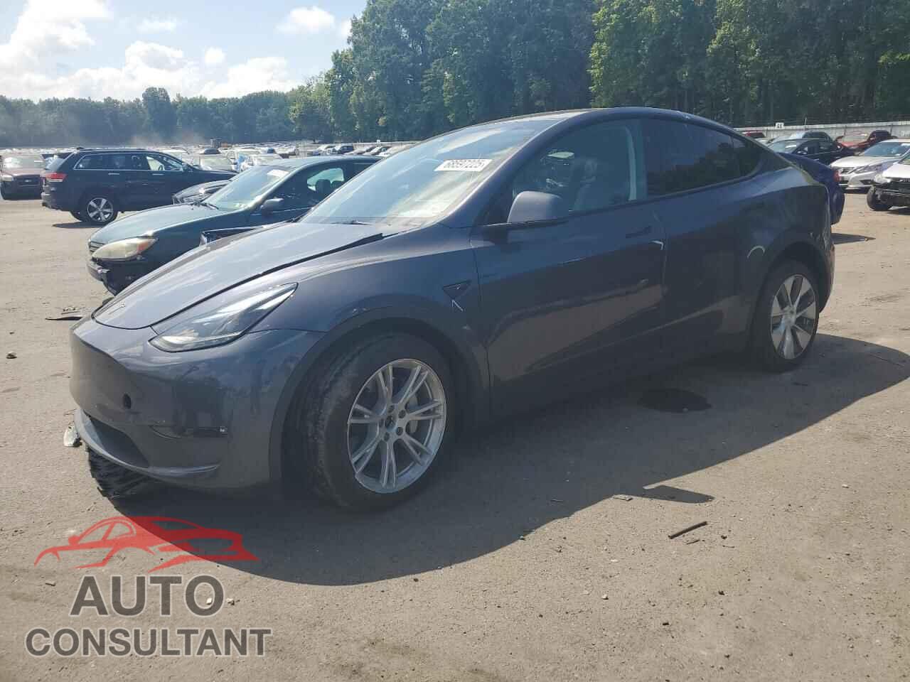TESLA MODEL Y 2023 - 7SAYGDEE2PF797859