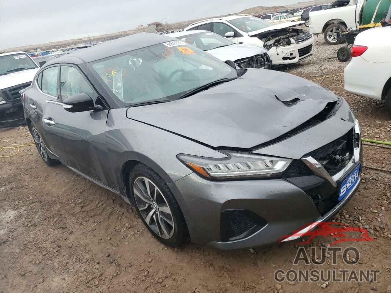 NISSAN MAXIMA 2019 - 1N4AA6AV8KC360557