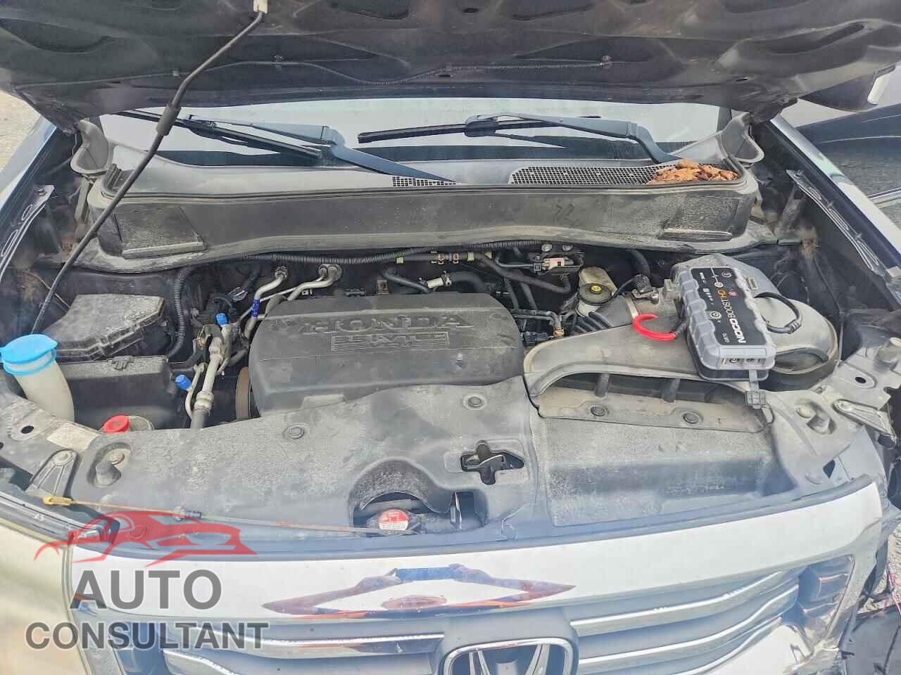HONDA PILOT 2013 - 5FNYF4H96DB047522