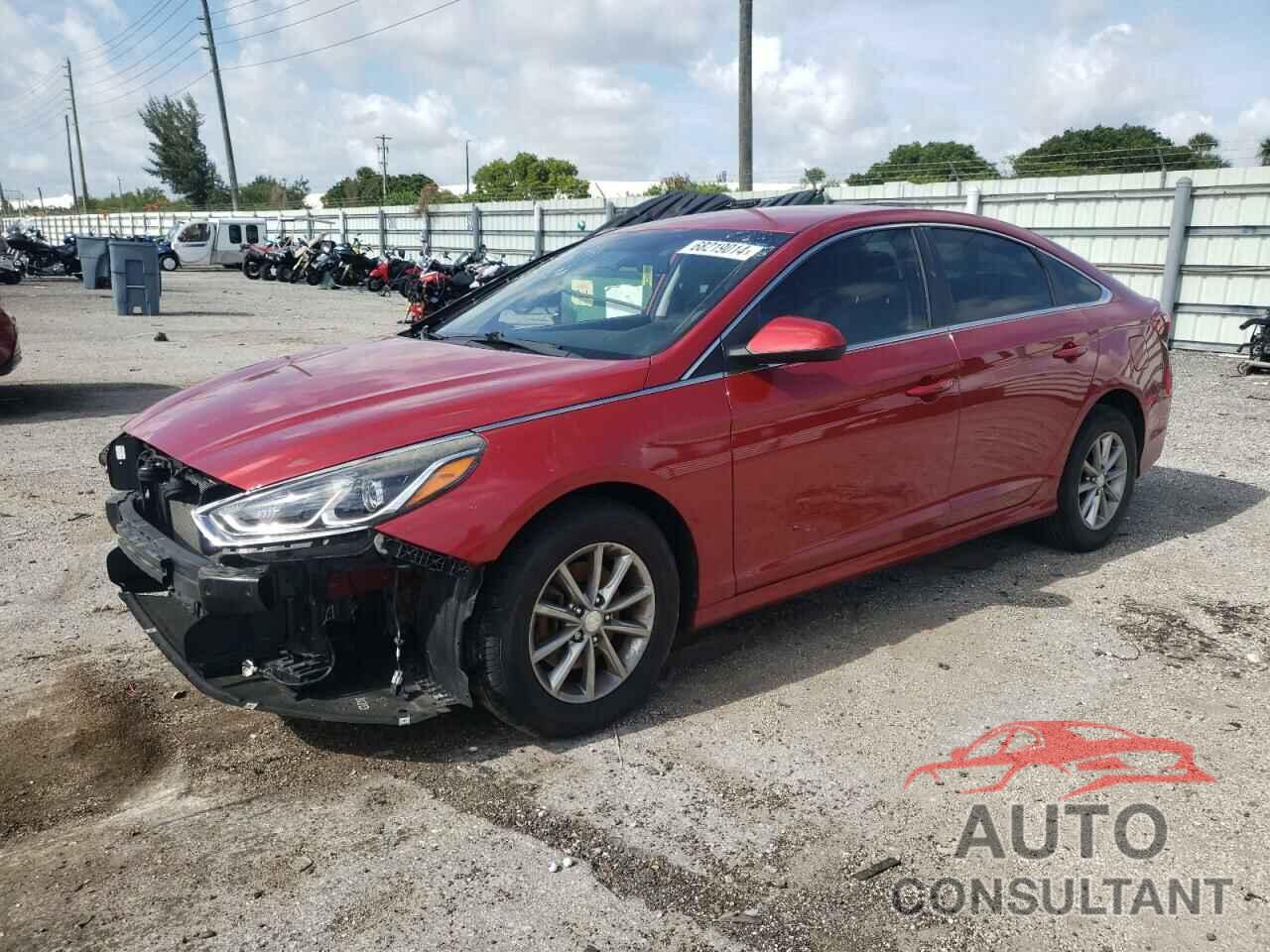 HYUNDAI SONATA 2019 - 5NPE24AF2KH789168