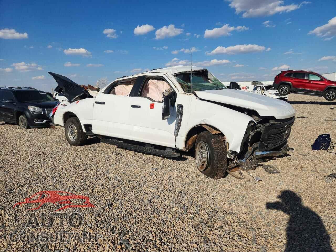 FORD F250 2024 - 1FT7W2BA0REF95902