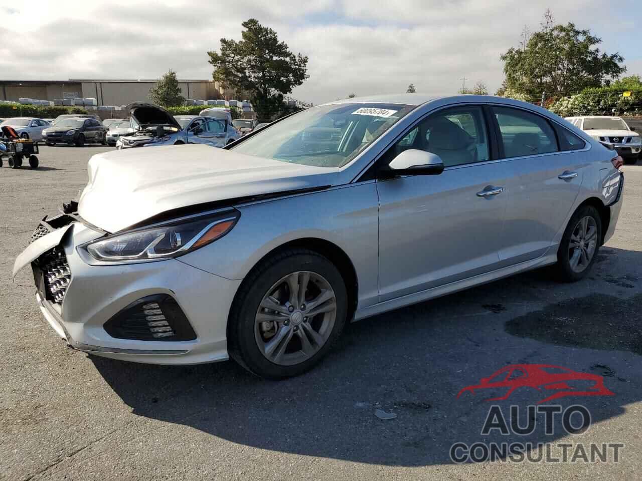 HYUNDAI SONATA 2019 - 5NPE34AF5KH818840