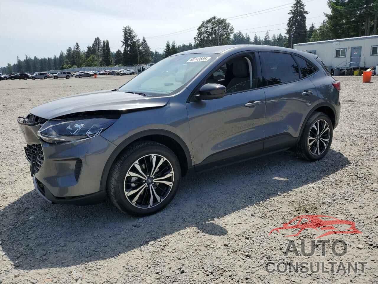 FORD ESCAPE 2022 - 1FMCU9G68NUB36596