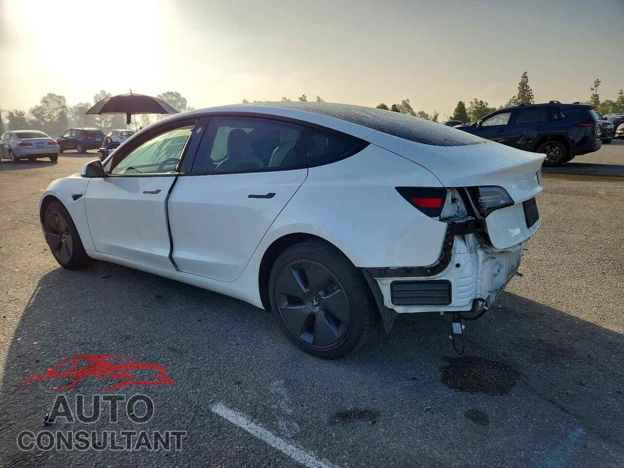 TESLA MODEL 3 2022 - 5YJ3E1EA7NF124510