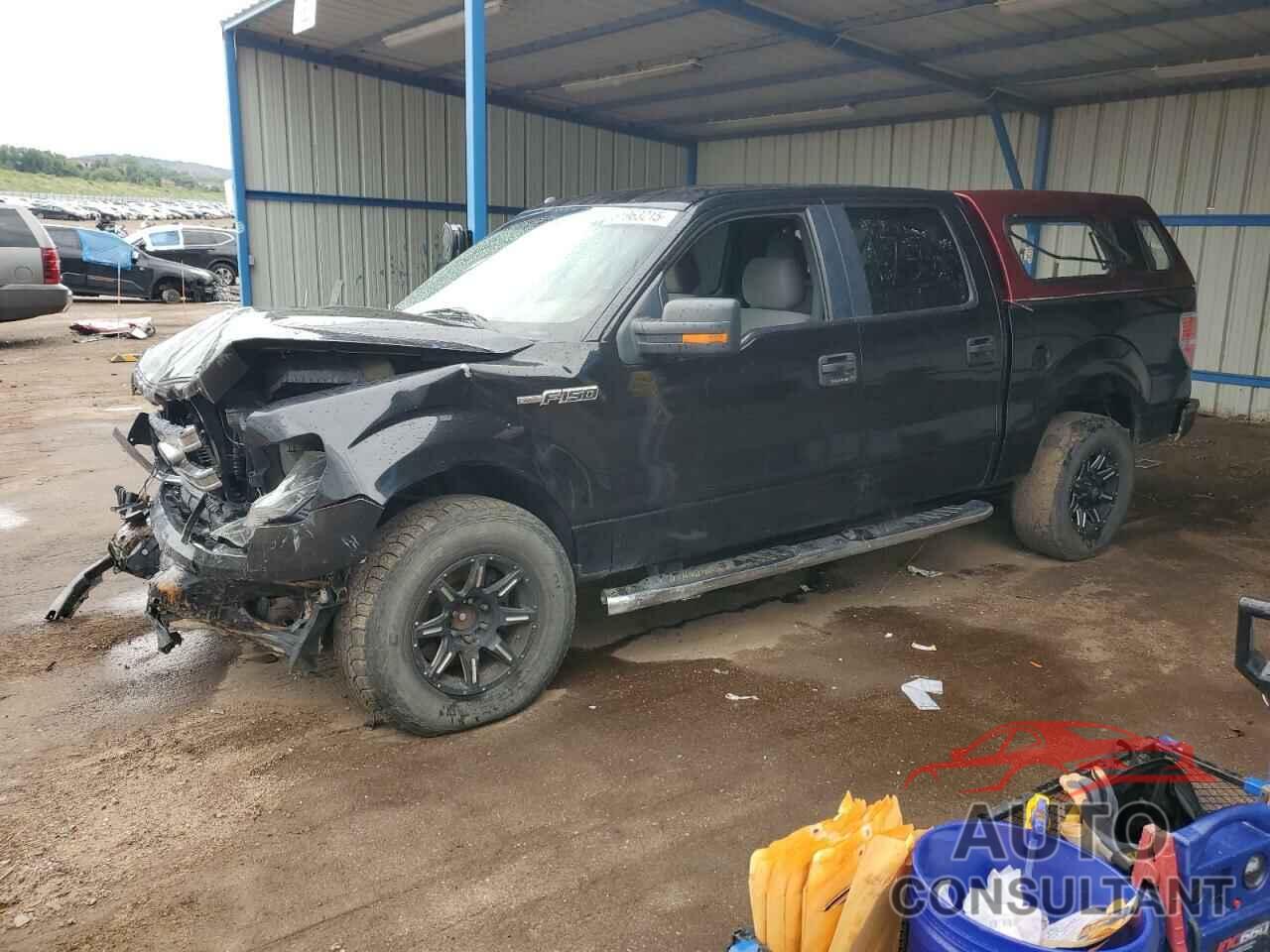 FORD F-150 2013 - 1FTFW1EF8DFA21791