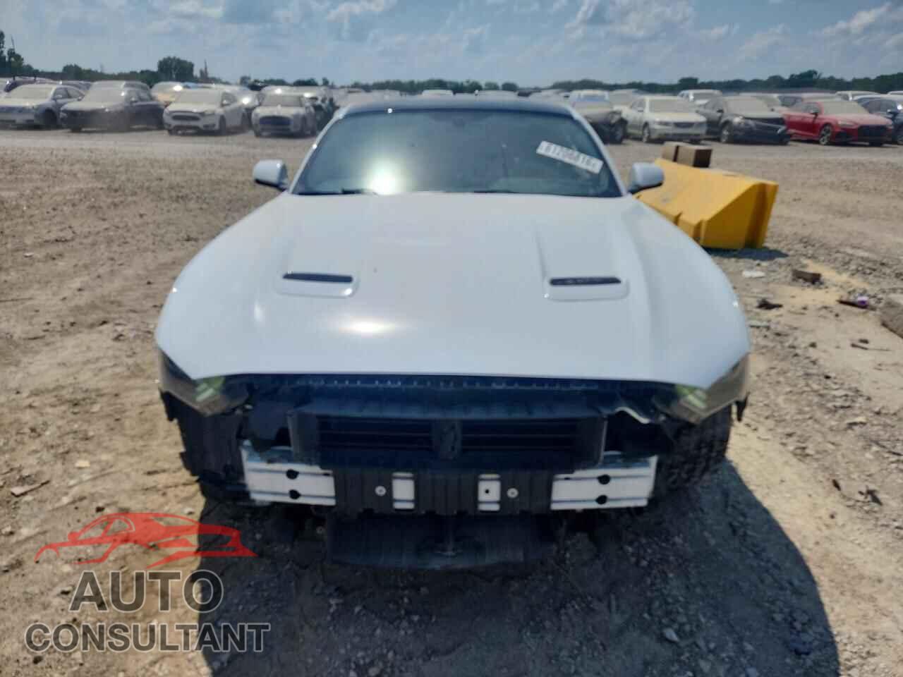FORD MUSTANG 2019 - 1FA6P8CF1K5113522