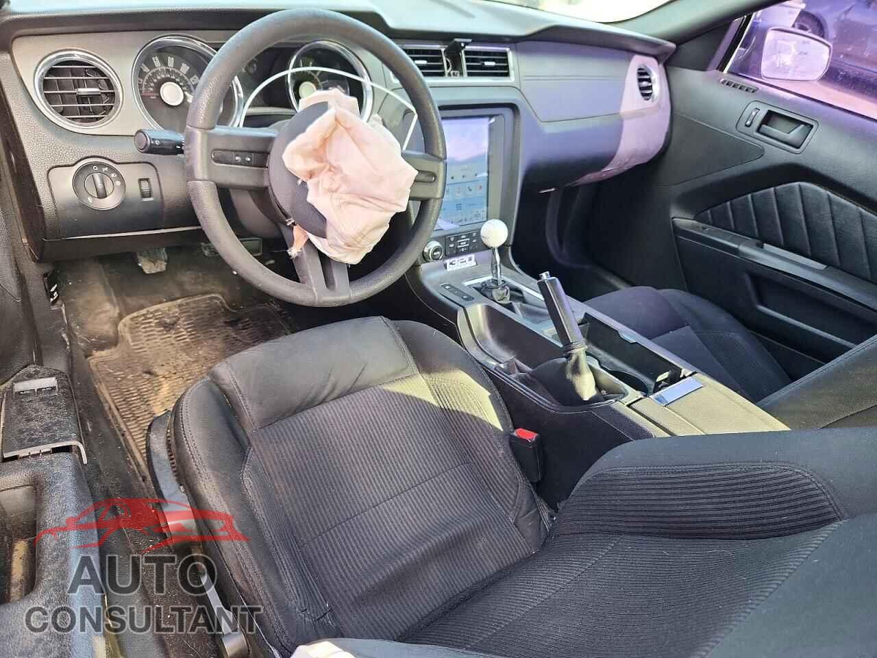 FORD MUSTANG 2010 - 1ZVBP8CH7A5117516
