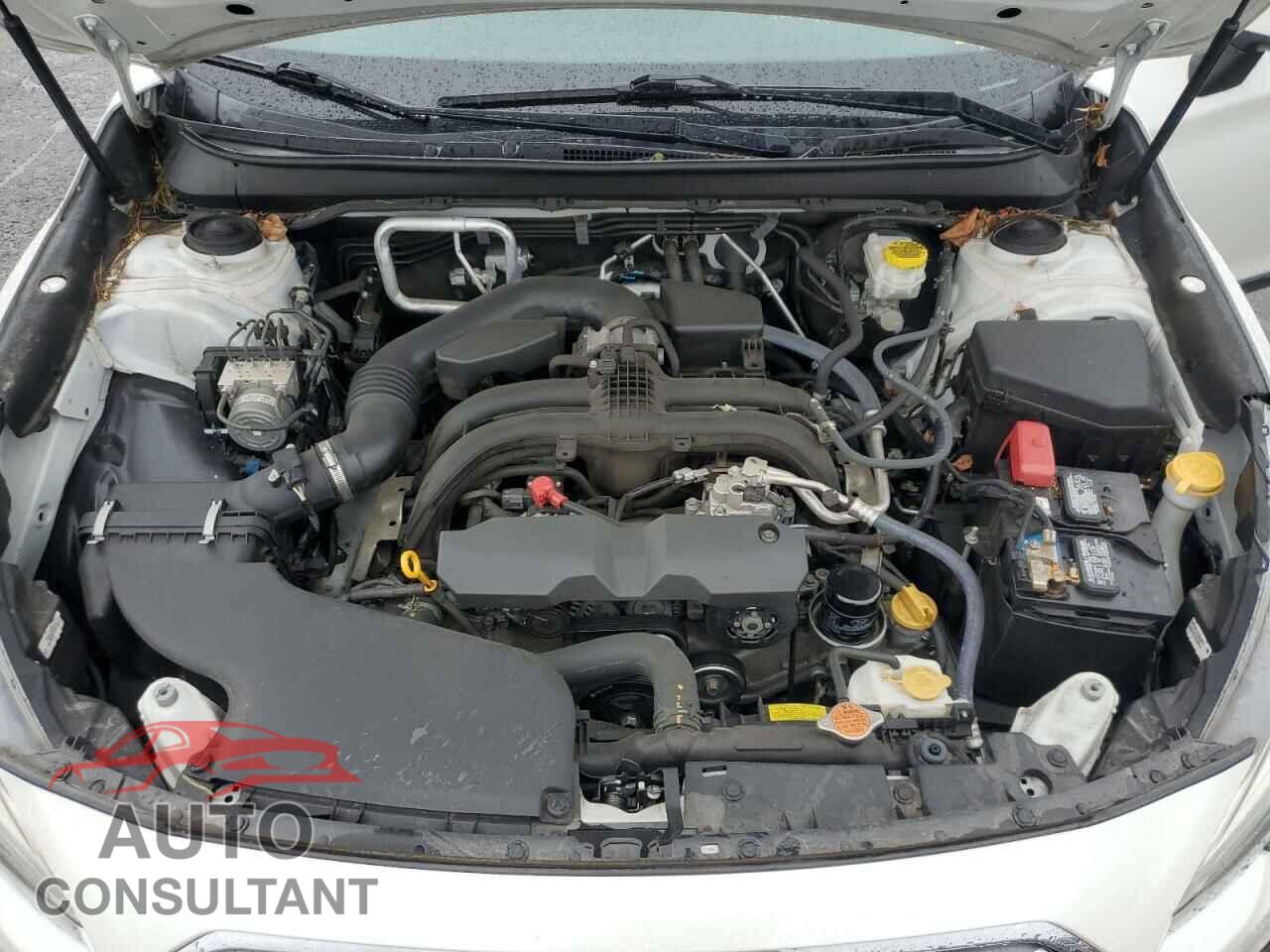 SUBARU OUTBACK 2019 - 4S4BSAFC5K3335309