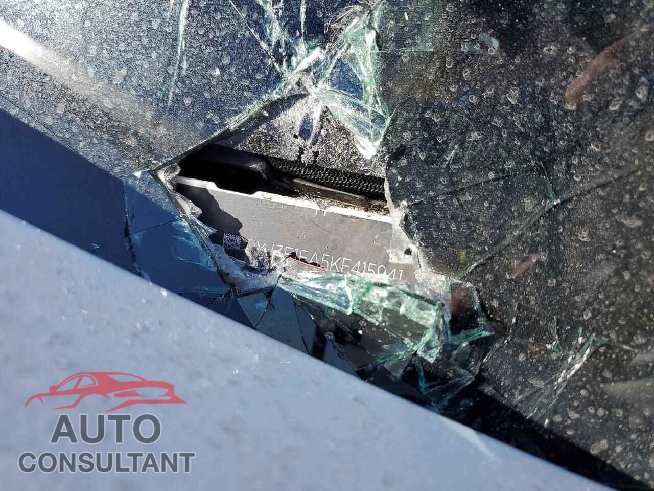 TESLA MODEL 3 2019 - 5YJ3E1EA5KF415941