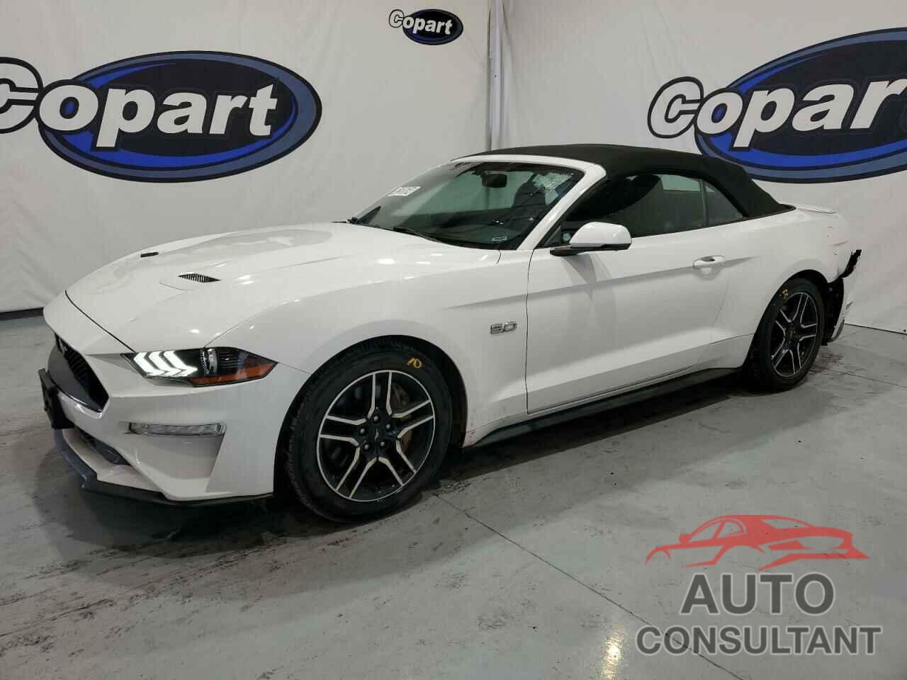 FORD MUSTANG 2019 - 1FATP8FF6K5126037