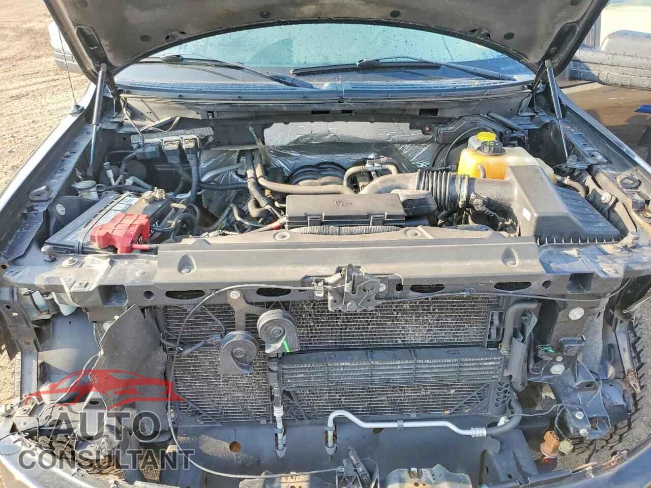 FORD F150 2014 - 1FTFX1EF2EFA43316