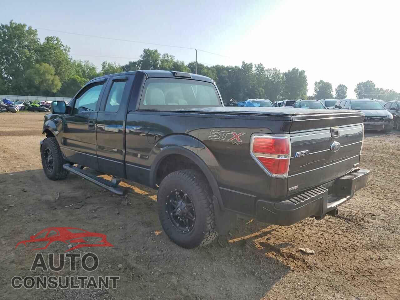 FORD F150 2014 - 1FTFX1EF2EFA43316