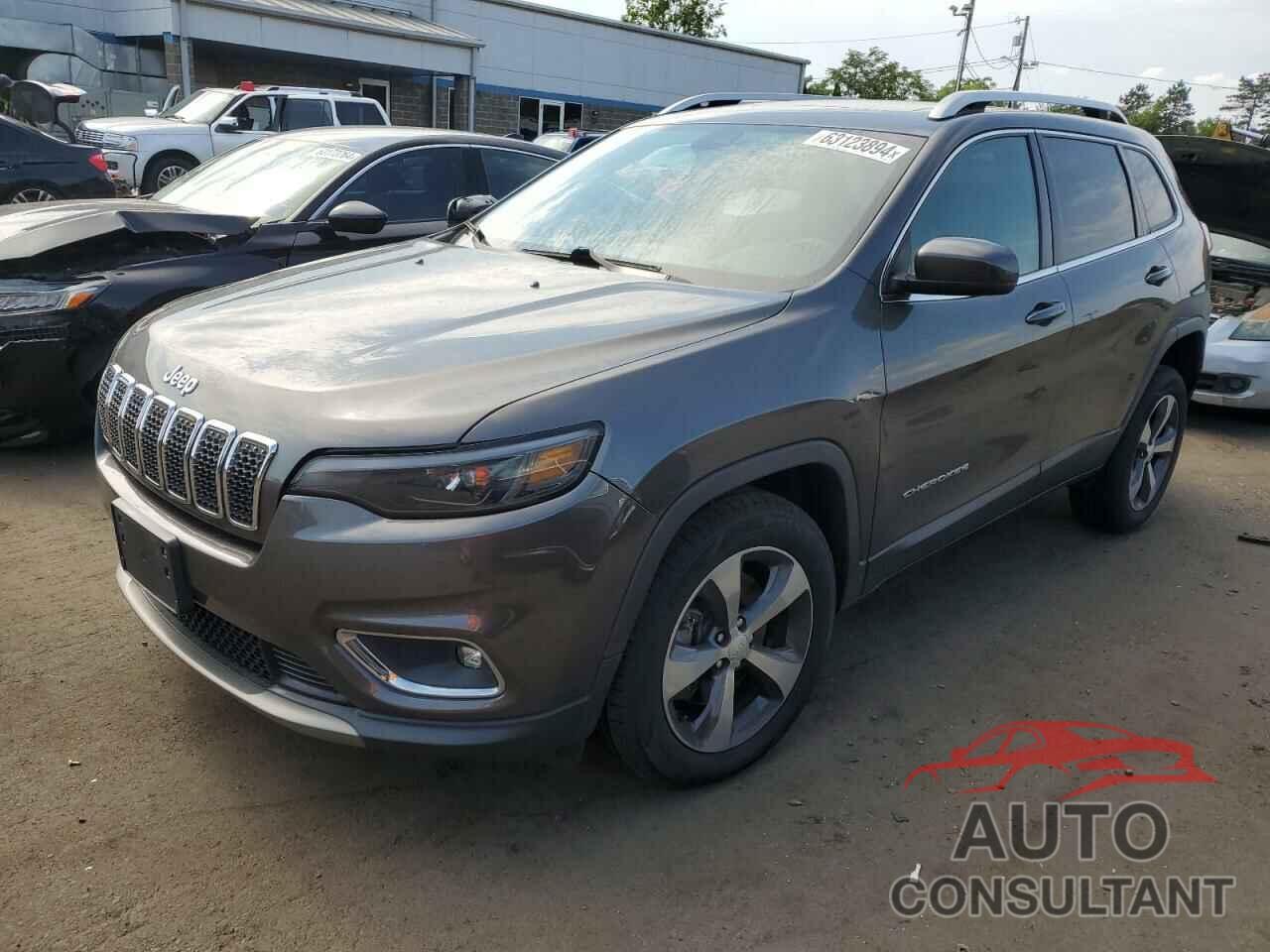 JEEP GRAND CHER 2019 - 1C4PJMDN2KD133931