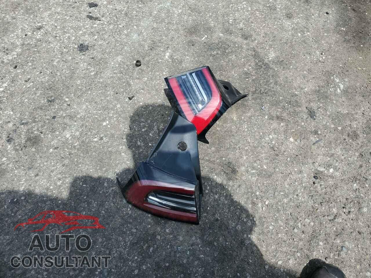 TESLA MODEL 3 2019 - 5YJ3E1EA6KF323818
