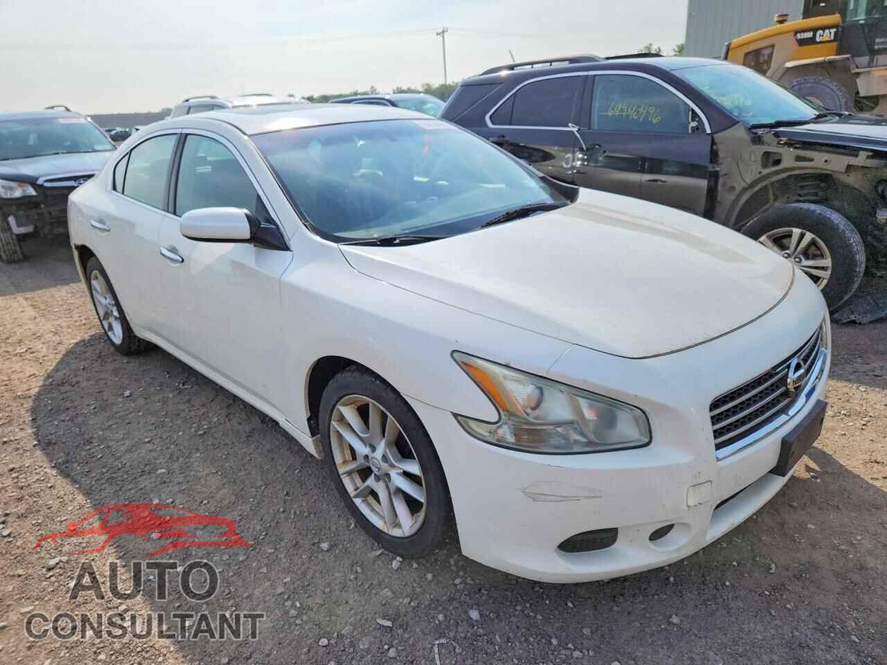 NISSAN MAXIMA 2009 - 1N4AA51E29C829954