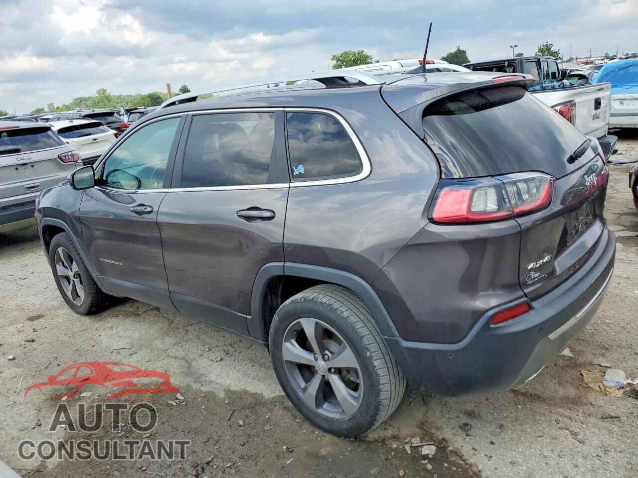 JEEP CHEROKEE 2019 - 1C4PJMDN3KD178893