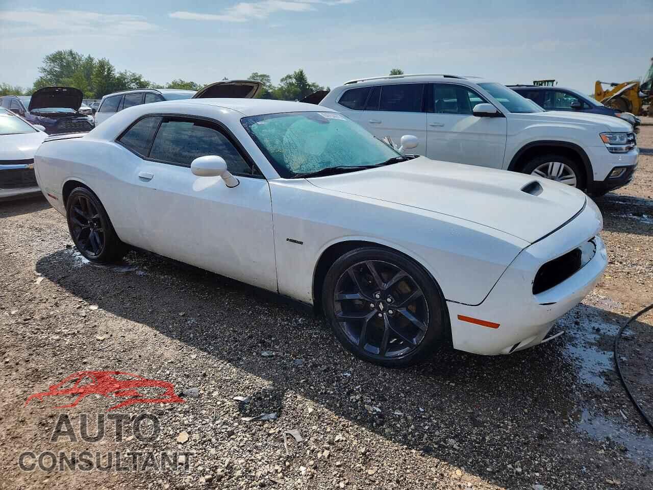 DODGE CHALLENGER 2019 - 2C3CDZBT8KH513397