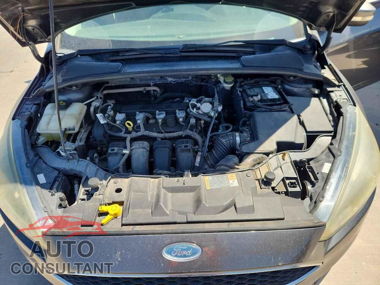 FORD FOCUS 2016 - 1FADP3F25GL334837