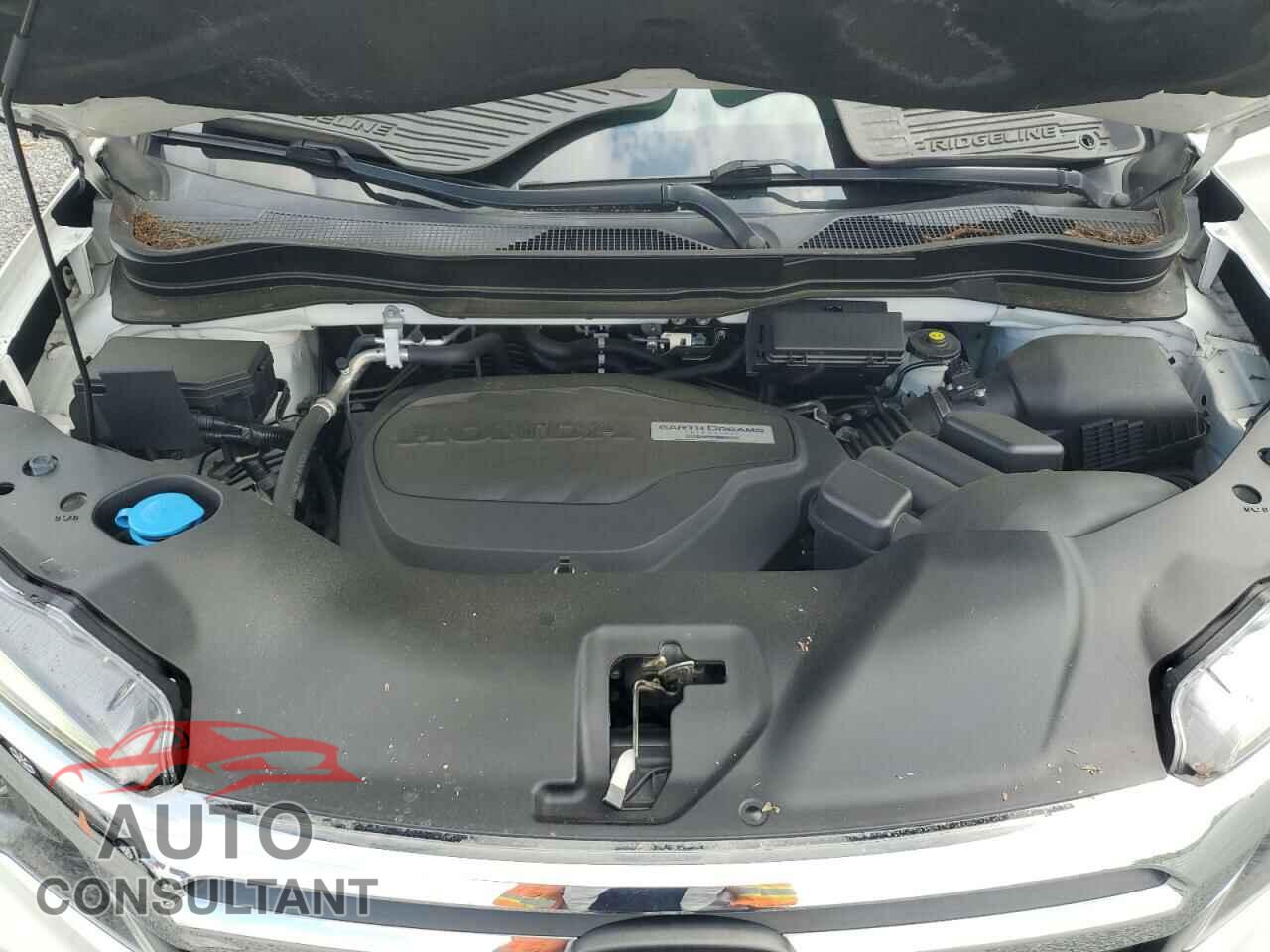 HONDA RIDGELINE 2019 - 5FPYK2F6XKB000538