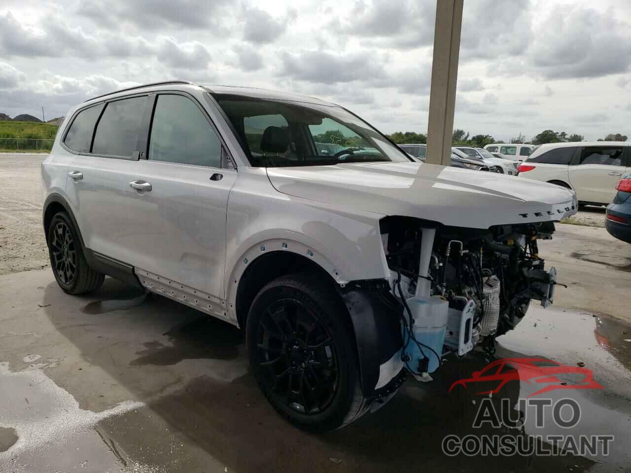 KIA TELLURIDE 2021 - 5XYP3DHC1MG176647