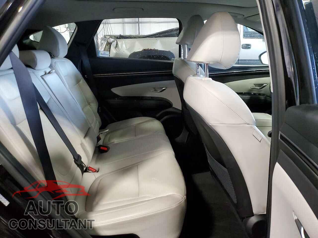 HYUNDAI TUCSON 2024 - KM8JECD19RU175634