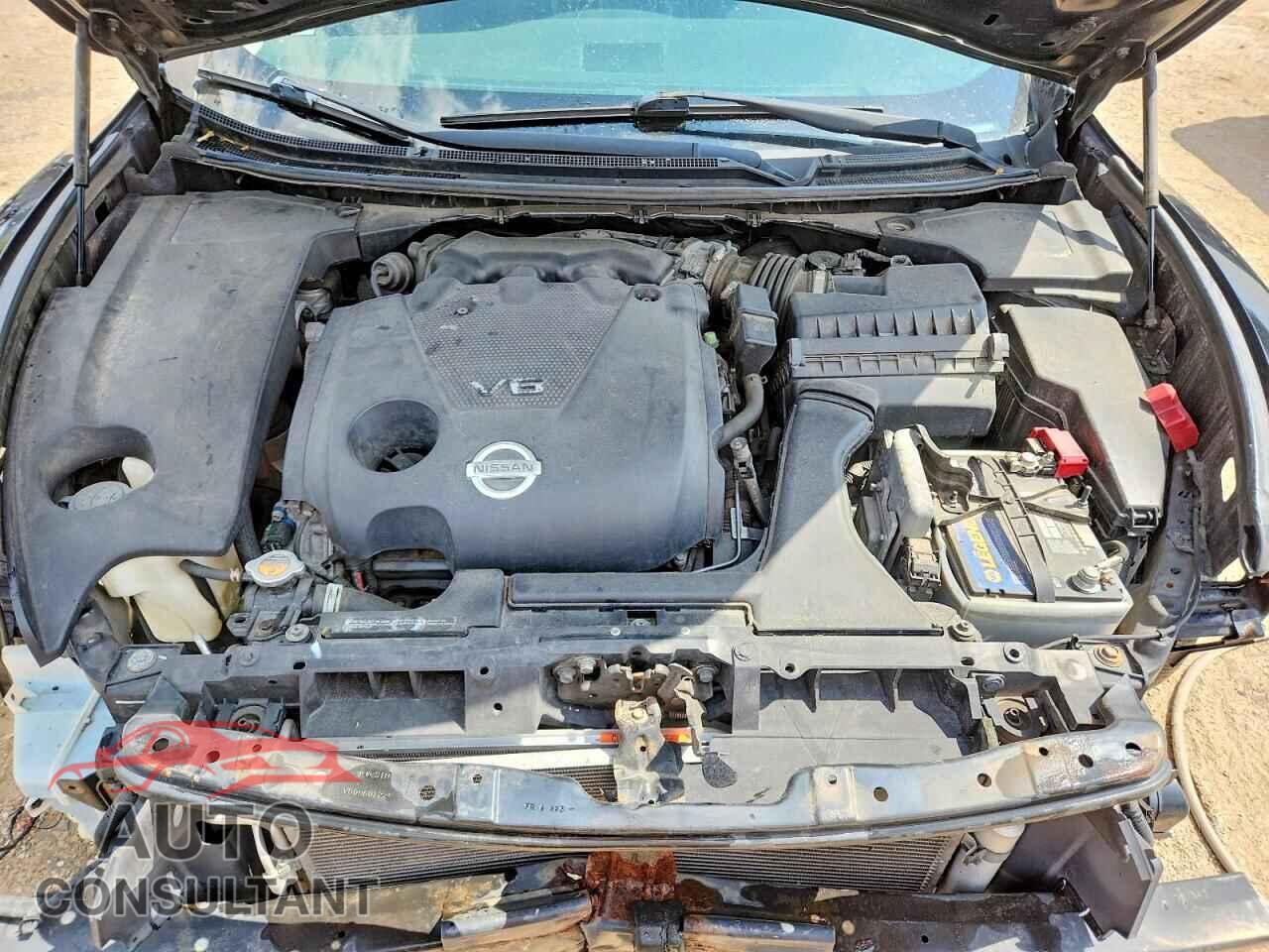 NISSAN MAXIMA 2011 - 1N4AA5AP1BC829970