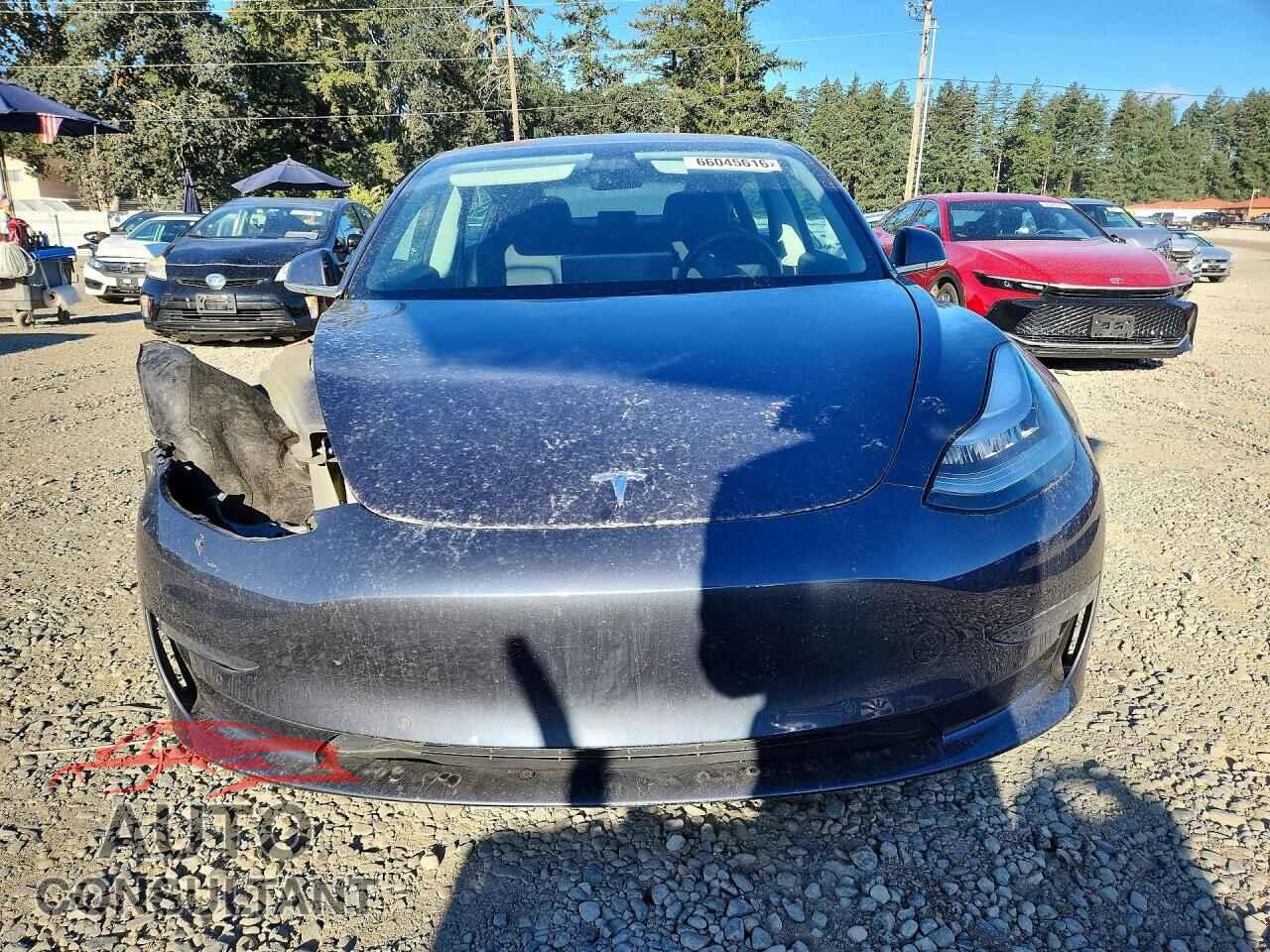 TESLA MODEL 3 2020 - 5YJ3E1EA3LF614102