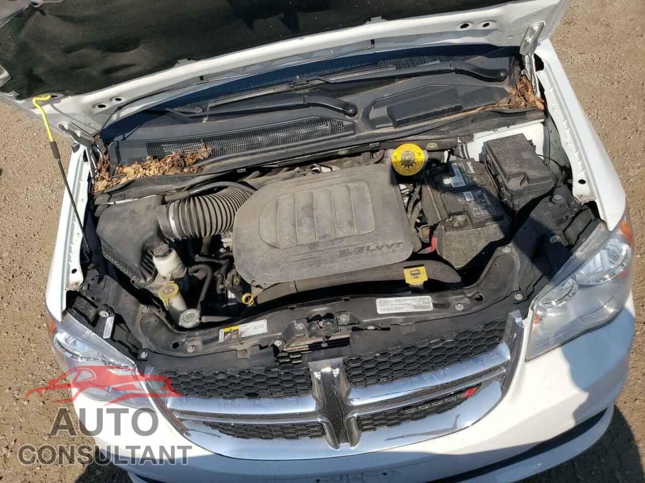 DODGE CARAVAN 2019 - 2C4RDGBG4KR664888