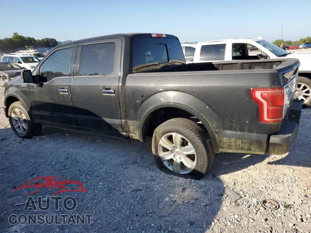 FORD F-150 2015 - 1FTEW1EG5FFC57726