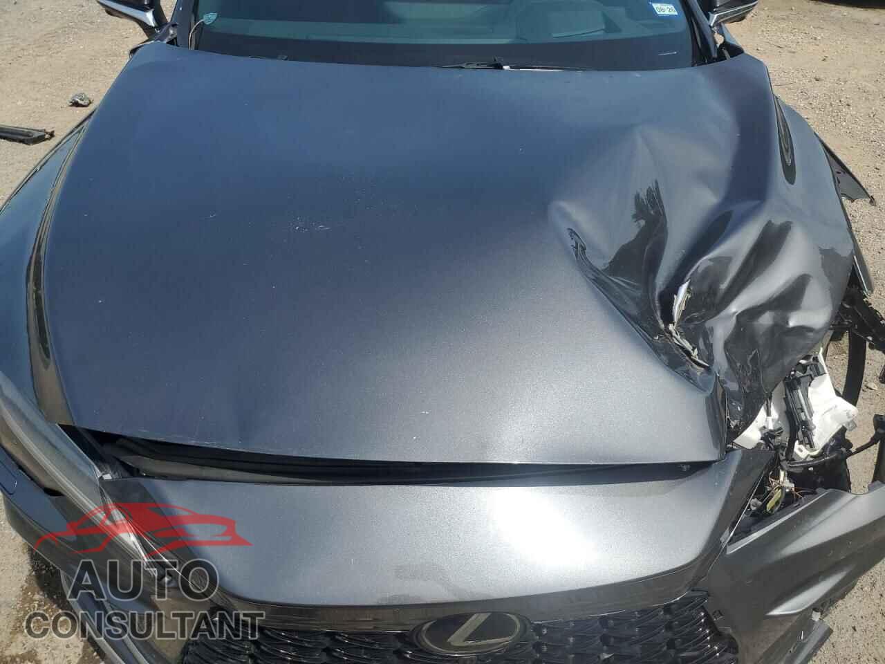 LEXUS RX350 2024 - 2T2BAMCA0RC056875
