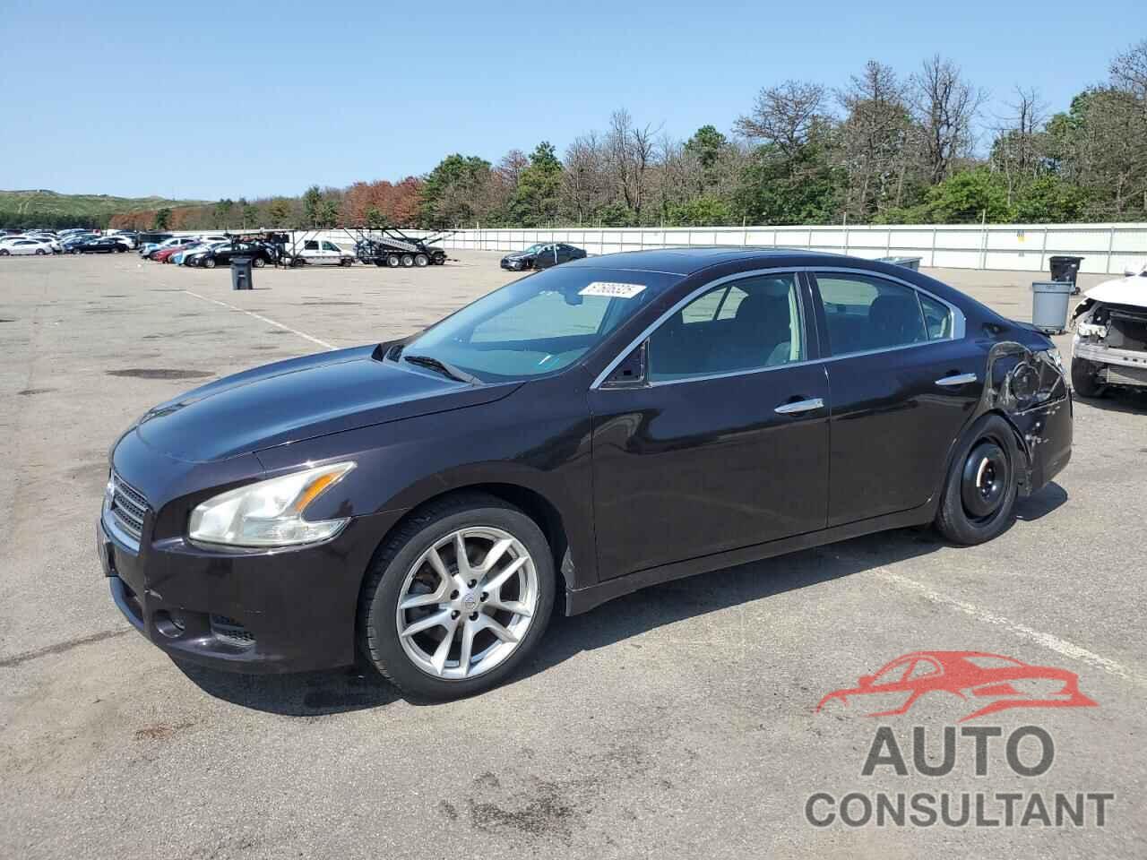 NISSAN MAXIMA 2011 - 1N4AA5AP4BC818235
