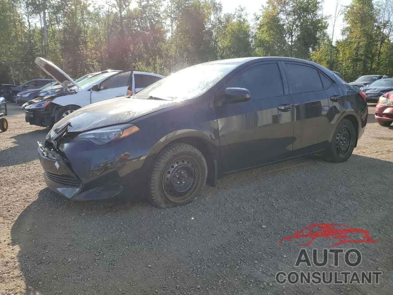 TOYOTA COROLLA 2019 - 2T1BURHE8KC144678