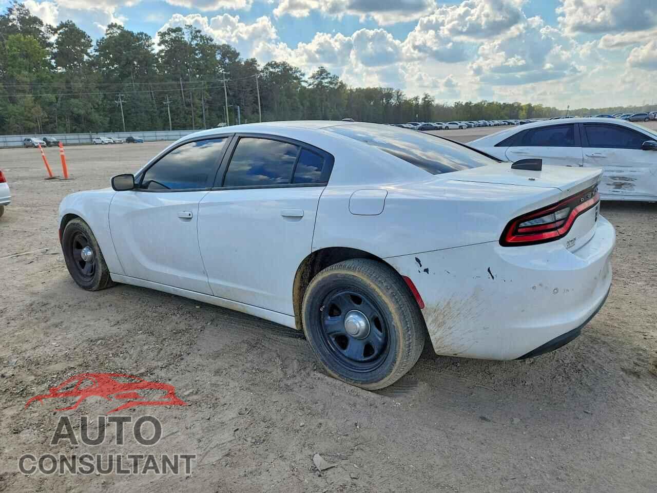 DODGE CHARGER 2019 - 2C3CDXATXKH598944
