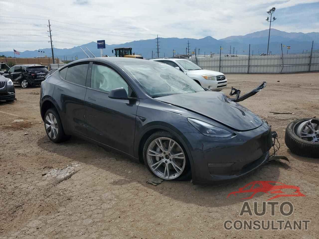 TESLA MODEL Y 2024 - 7SAYGDEE4RA261737