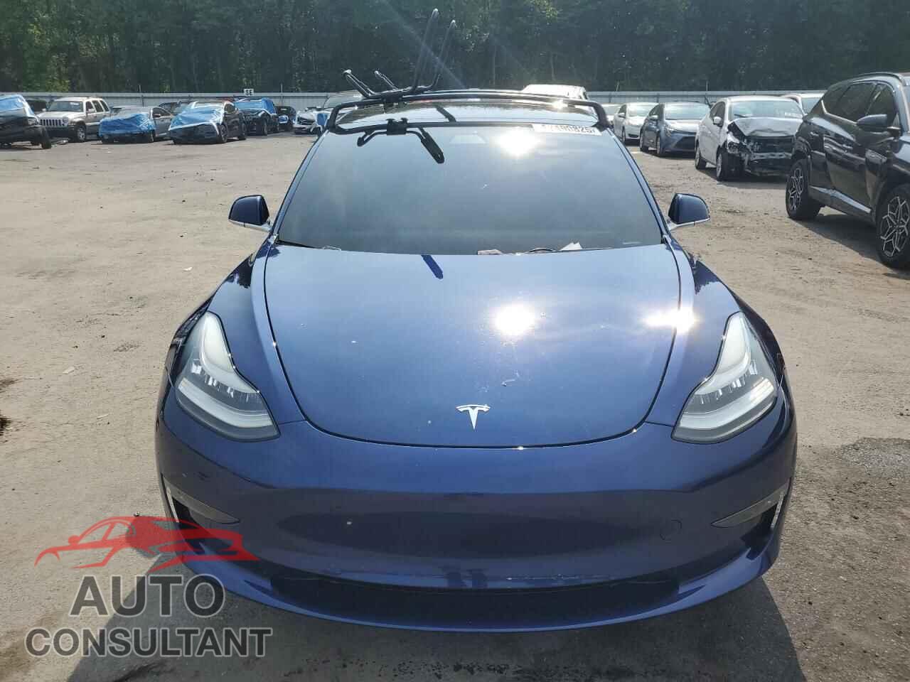 TESLA MODEL 3 2019 - 5YJ3E1EB9KF437353
