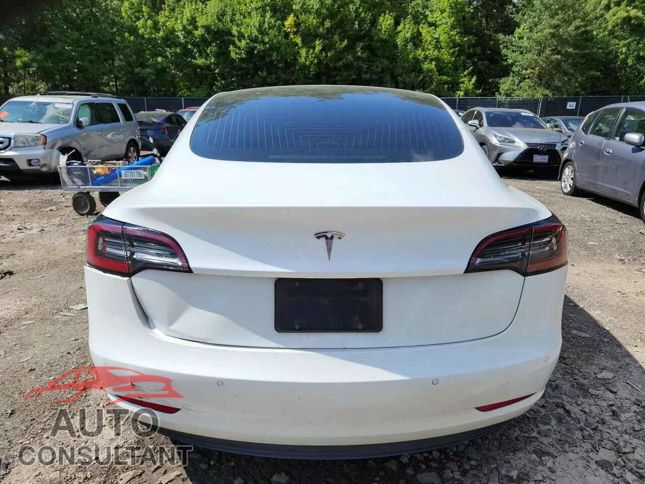 TESLA MODEL 3 2019 - 5YJ3E1EA5KF402557