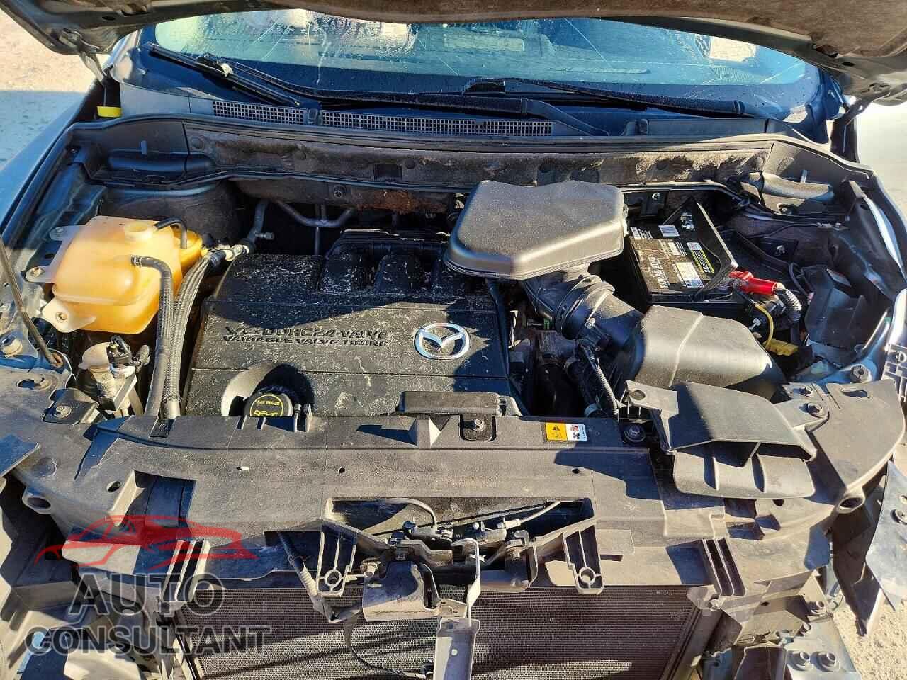 MAZDA CX-9 2011 - JM3TB2DA0B0317860