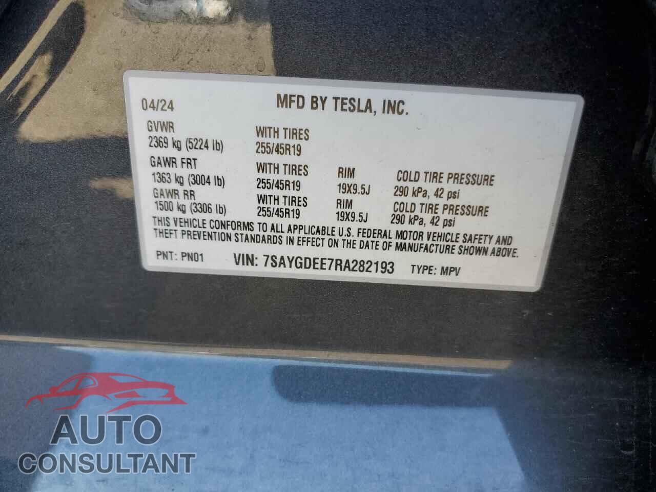 TESLA MODEL Y 2024 - 7SAYGDEE7RA282193