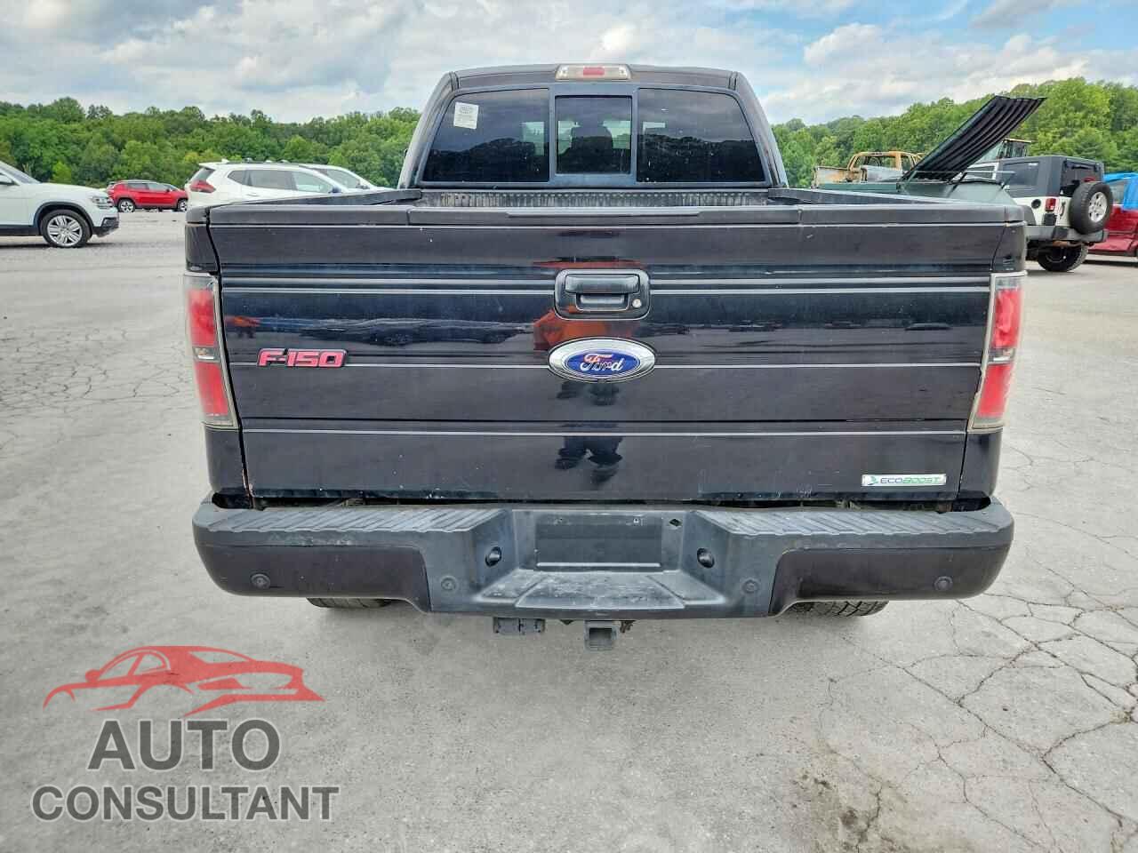 FORD F150 2014 - 1FTFW1ET0EFA79207