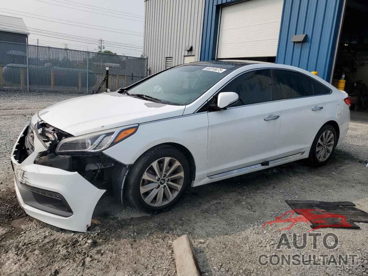 HYUNDAI SONATA 2016 - 5NPE34AF7GH394648