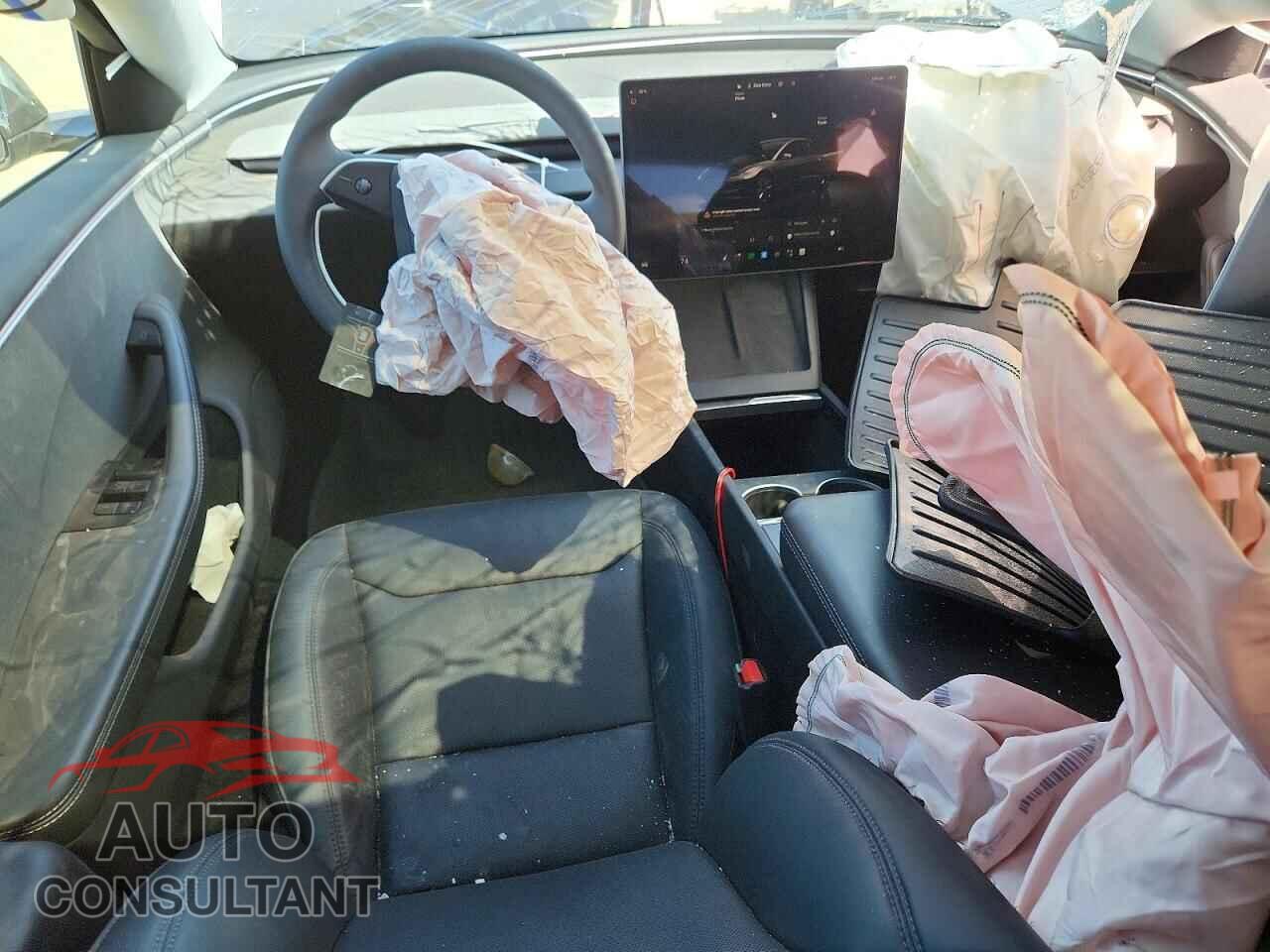 TESLA MODEL 3 2025 - 5YJ3E1EA7SF917074