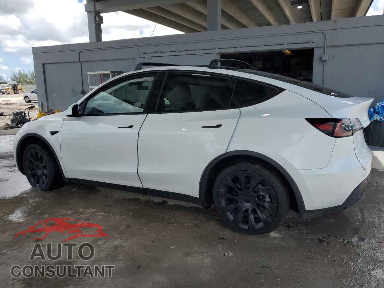 TESLA MODEL Y 2024 - 7SAYGDEE5RF157017
