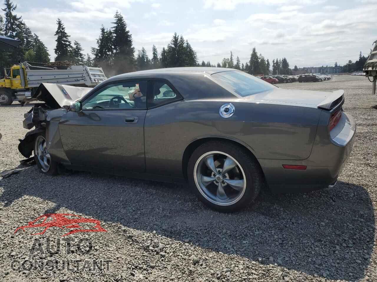 DODGE CHALLENGER 2010 - 2B3CJ5DT4AH208621
