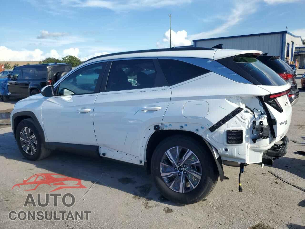 HYUNDAI TUCSON 2023 - KM8JBCA12PU123787