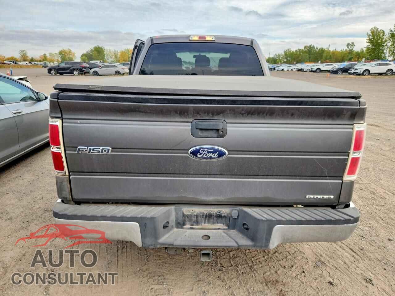 FORD F150 2014 - 1FTFW1EF8EFA39418