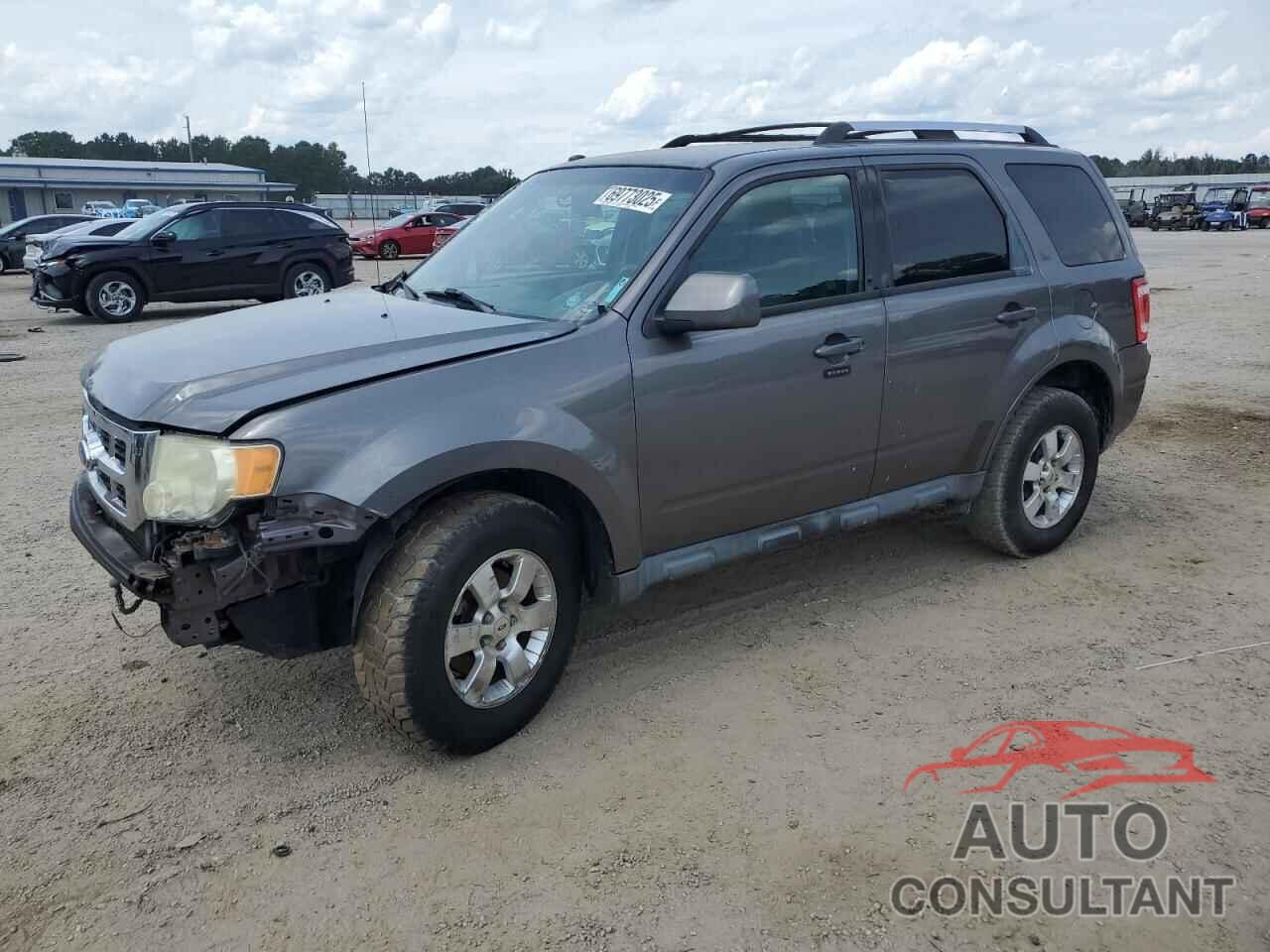 FORD ESCAPE 2010 - 1FMCU9EG1AKD01423