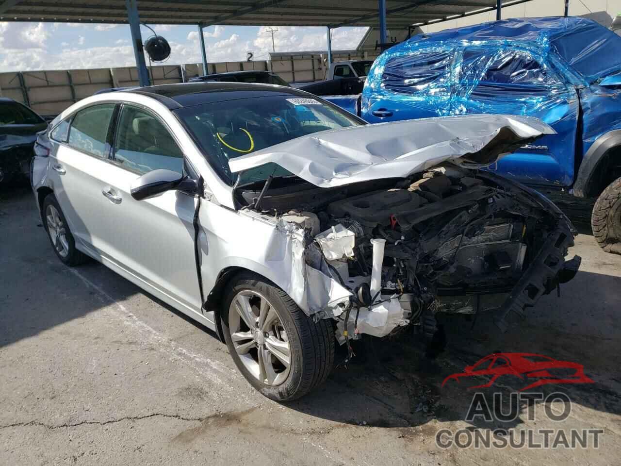 HYUNDAI SONATA 2019 - 5NPE34AF8KH808707